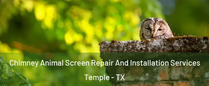  Chimney Animal Screen Repair And Installation Services Temple - TX