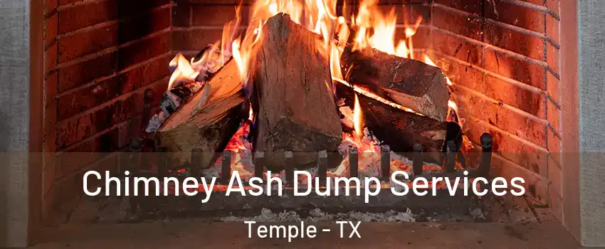  Chimney Ash Dump Services Temple - TX