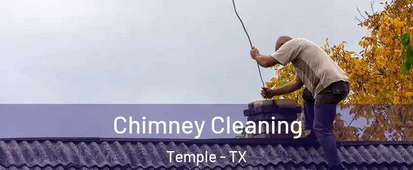  Chimney Cleaning Temple - TX