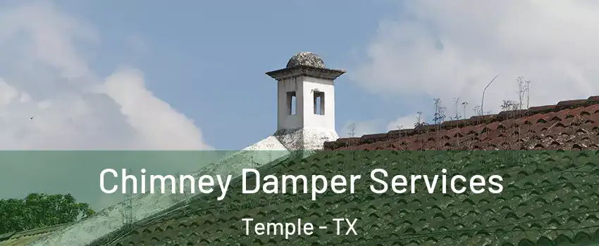  Chimney Damper Services Temple - TX