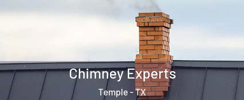  Chimney Experts Temple - TX