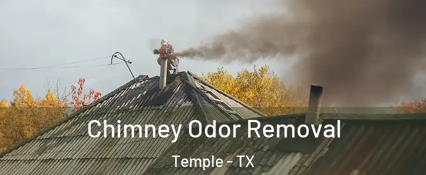  Chimney Odor Removal Temple - TX