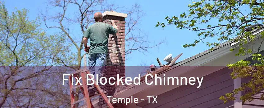  Fix Blocked Chimney Temple - TX