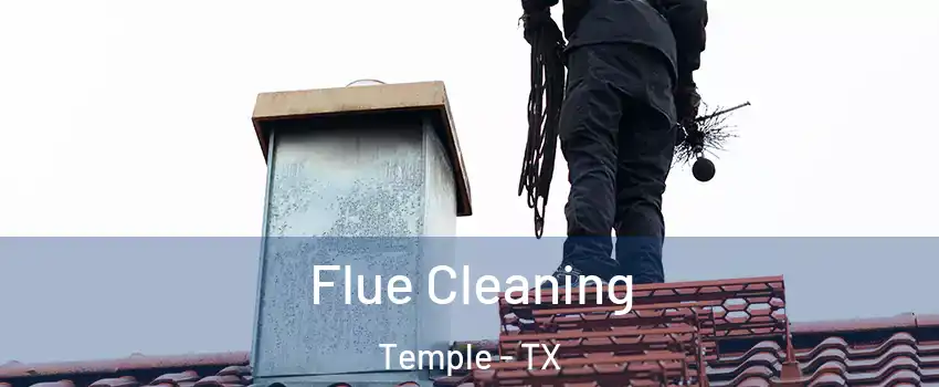  Flue Cleaning Temple - TX