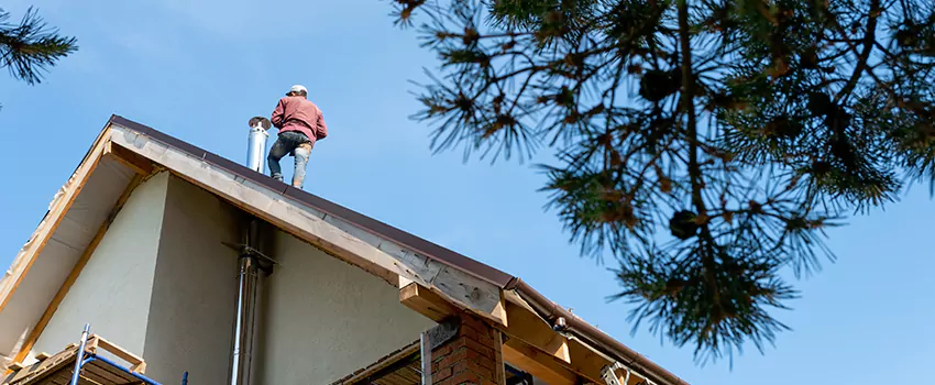 Birds Removal Contractors from Chimney in Temple, TX