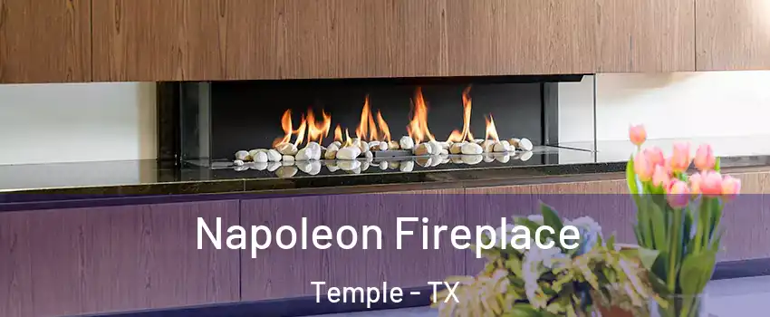  Napoleon Fireplace Temple - TX